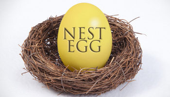 Nest Egg
